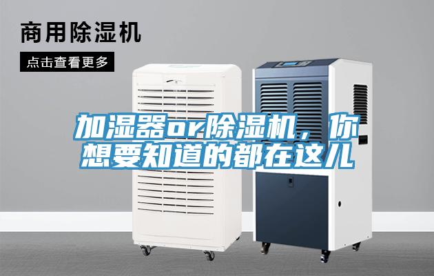 加濕器or除濕機，你想要知道的都在這兒