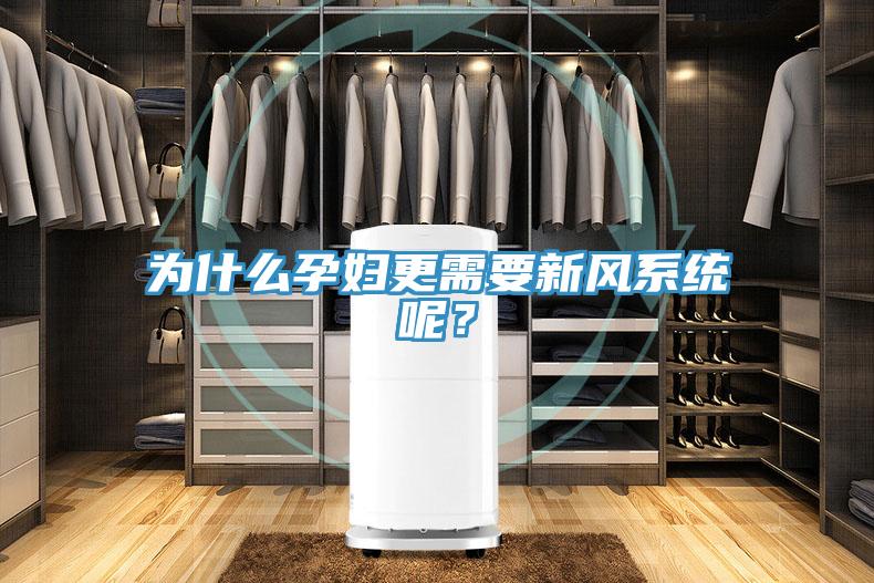 為什么孕婦更需要新風(fēng)系統呢？