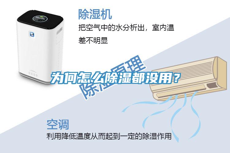 為何怎么除濕都沒(méi)用？