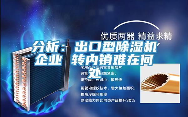 分析：出口型除濕機企業(yè) 轉內銷(xiāo)難在何處