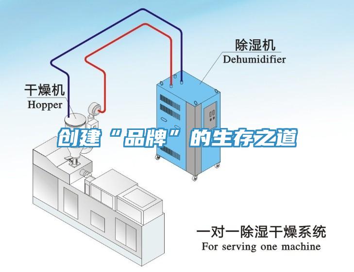創(chuàng  )建“品牌”的生存之道