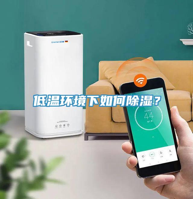 低溫環(huán)境下如何除濕？