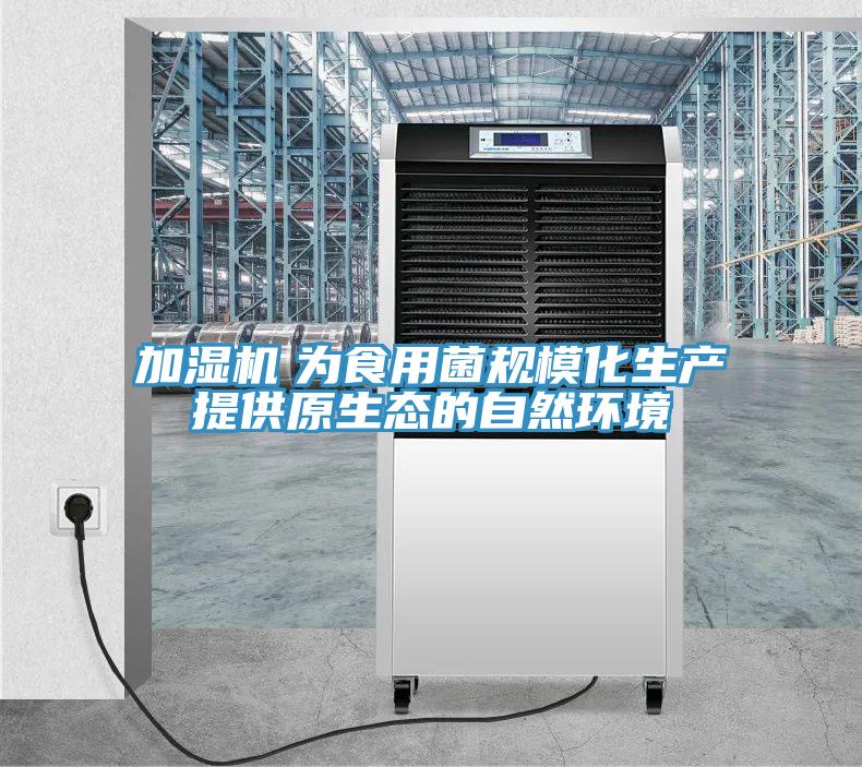 加濕機　為食用菌規?；a(chǎn)提供原生態(tài)的自然環(huán)境