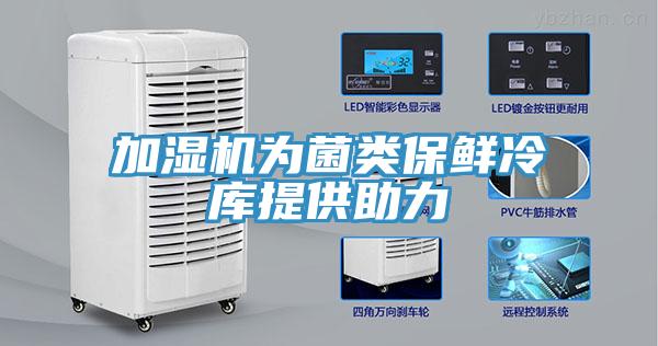 加濕機為菌類(lèi)保鮮冷庫提供助力