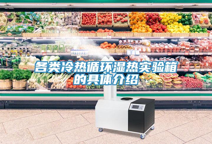 各類(lèi)冷熱循環(huán)濕熱實(shí)驗箱的具體介紹