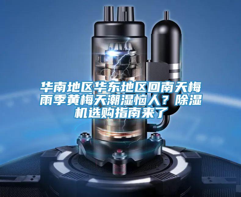 華南地區華東地區回南天梅雨季黃梅天潮濕惱人？除濕機選購指南來(lái)了