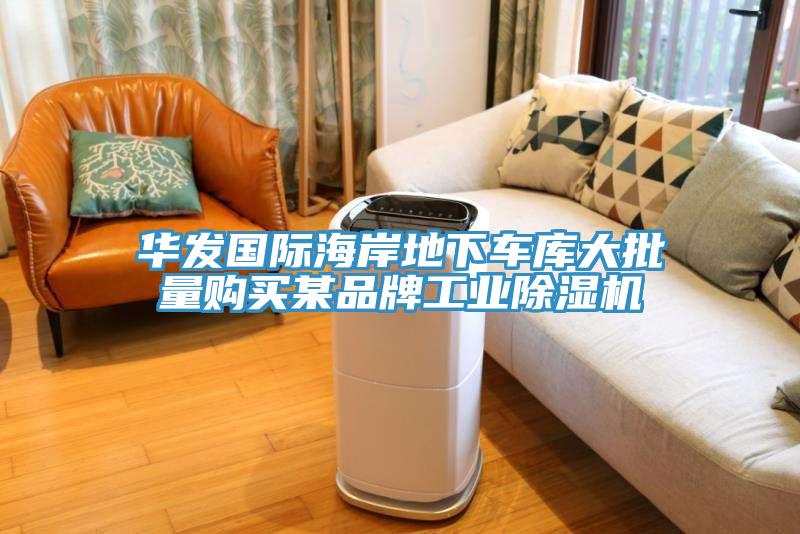 華發(fā)國際海岸地下車(chē)庫大批量購買(mǎi)某品牌工業(yè)除濕機