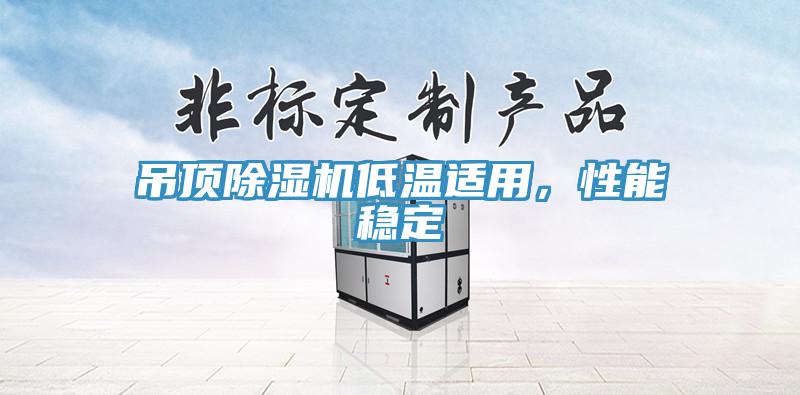 吊頂除濕機低溫適用，性能穩定