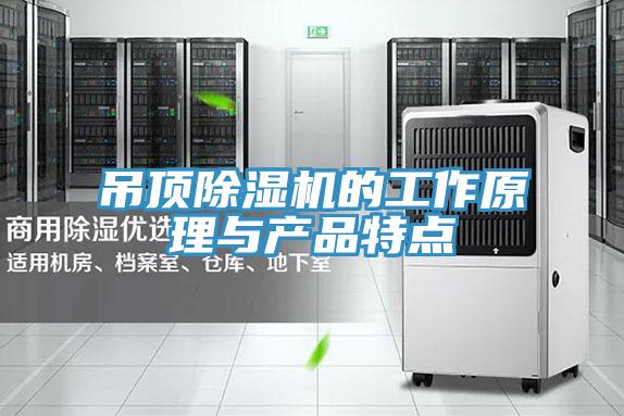 吊頂除濕機的工作原理與產(chǎn)品特點(diǎn)
