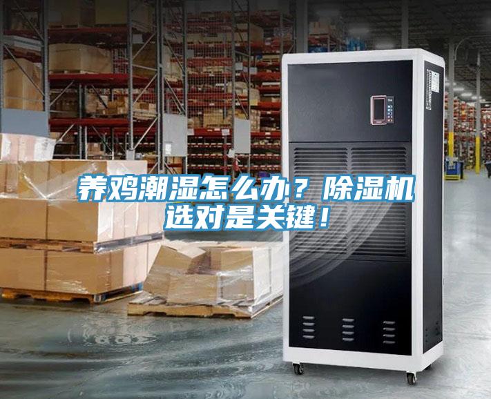 養雞潮濕怎么辦？除濕機選對是關(guān)鍵！