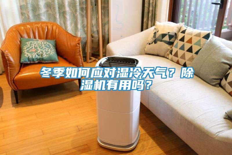 冬季如何應對濕冷天氣？除濕機有用嗎？