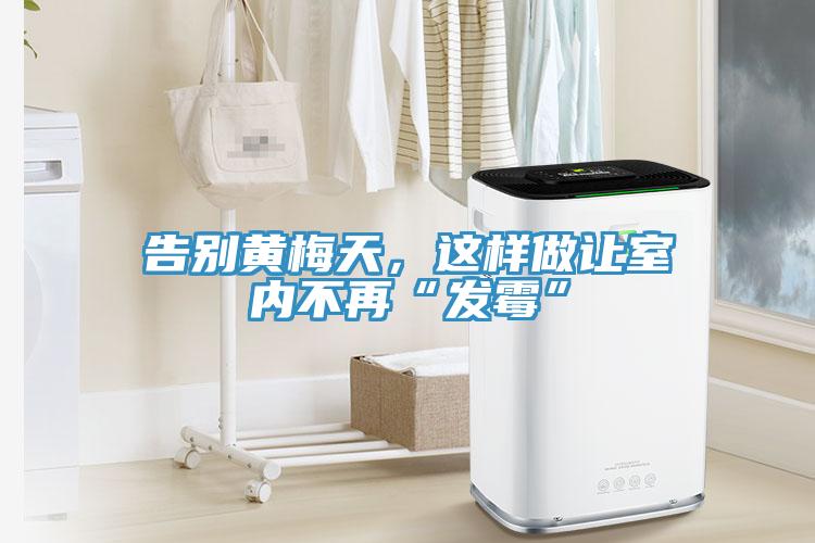 告別黃梅天，這樣做讓室內不再“發(fā)霉”