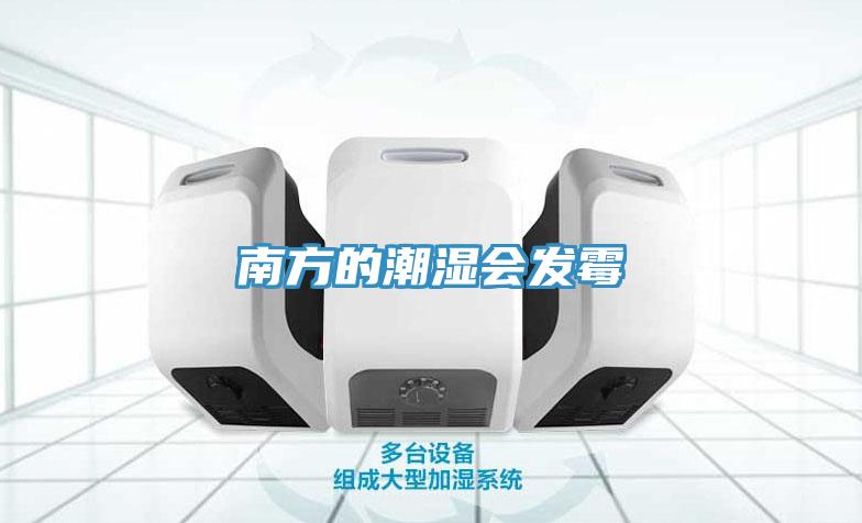 南方的潮濕會(huì )發(fā)霉