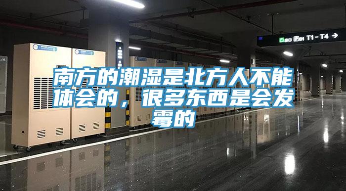 南方的潮濕是北方人不能體會(huì )的，很多東西是會(huì )發(fā)霉的