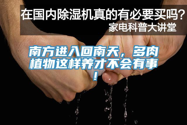 南方進(jìn)入回南天，多肉植物這樣養才不會(huì )有事！