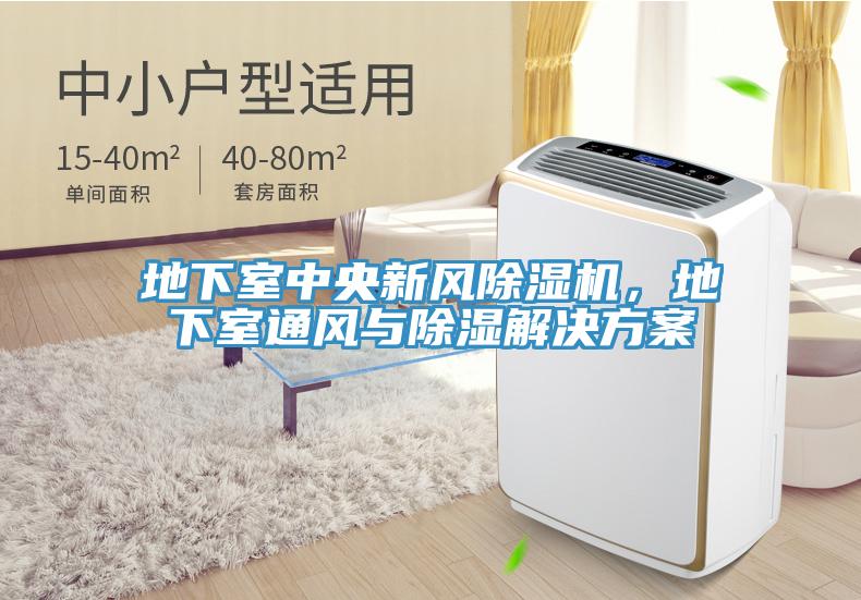 地下室中央新風(fēng)除濕機，地下室通風(fēng)與除濕解決方案