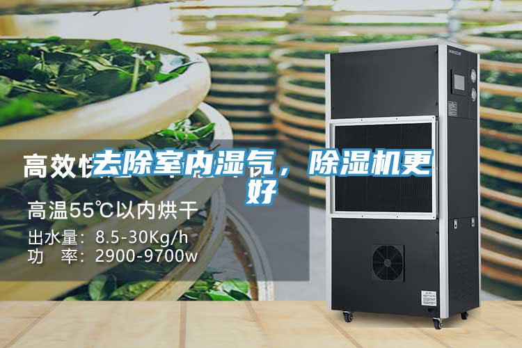 去除室內濕氣，除濕機更好