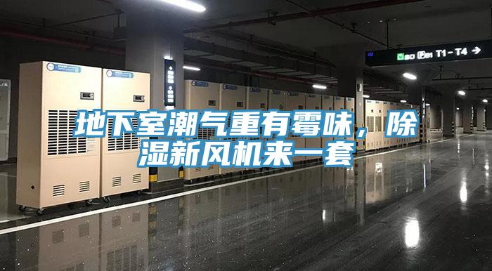 地下室潮氣重有霉味，除濕新風(fēng)機來(lái)一套