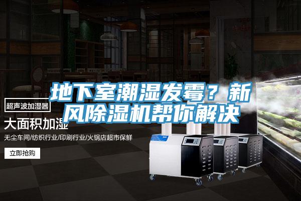 地下室潮濕發(fā)霉？新風(fēng)除濕機幫你解決