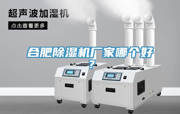 合肥除濕機廠(chǎng)家哪個(gè)好？
