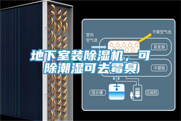 地下室裝除濕機，可除潮濕可去霉臭