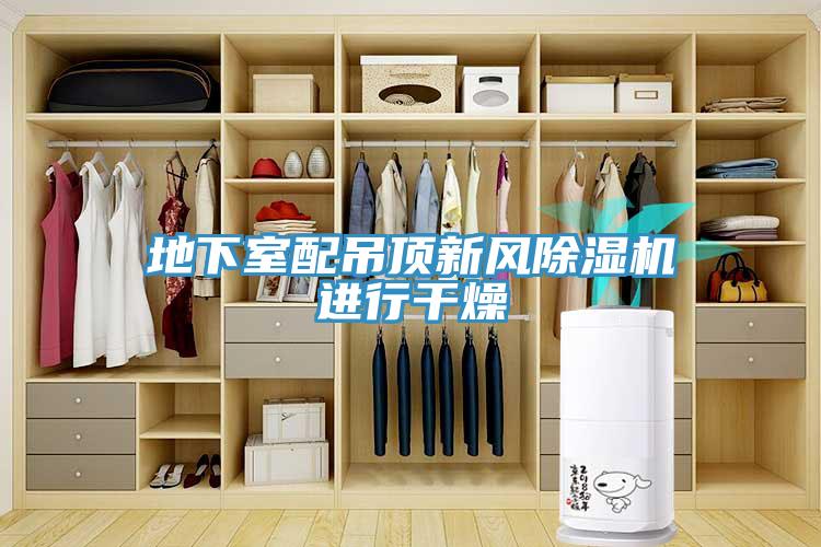 地下室配吊頂新風(fēng)除濕機進(jìn)行干燥