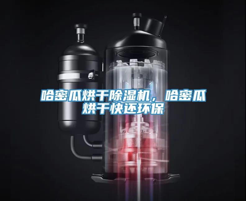 哈密瓜烘干除濕機，哈密瓜烘干快還環(huán)保