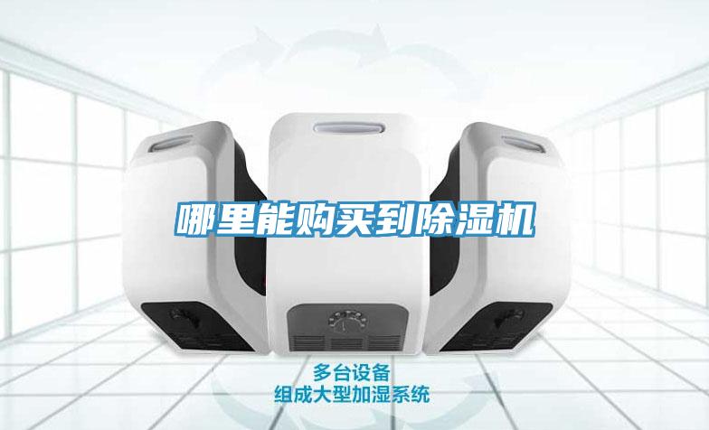 哪里能購買(mǎi)到除濕機