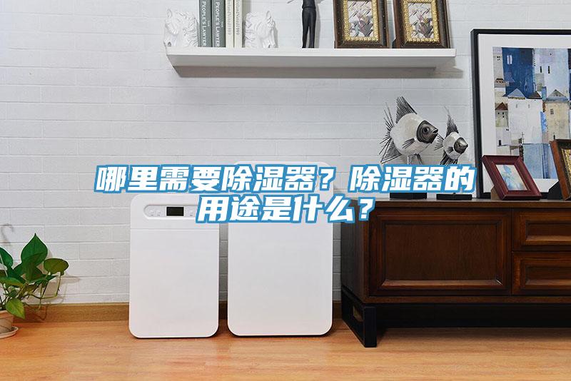 哪里需要除濕器？除濕器的用途是什么？