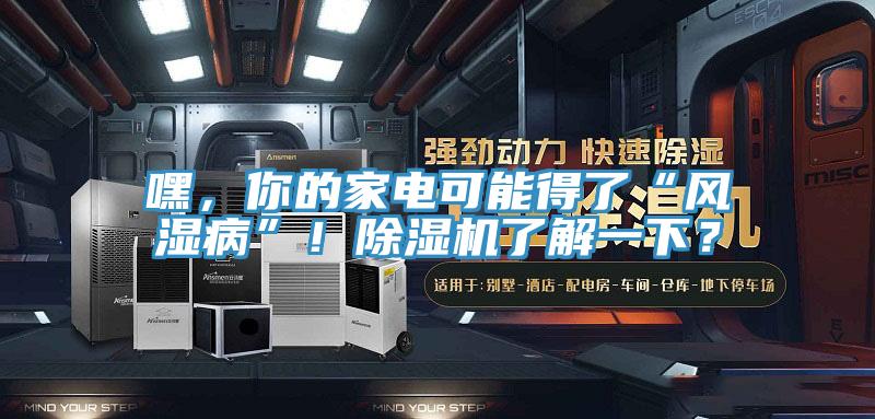 嘿，你的家電可能得了“風(fēng)濕病”！除濕機了解一下？