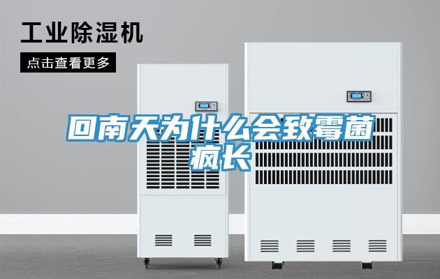 回南天為什么會(huì )致霉菌瘋長(cháng)