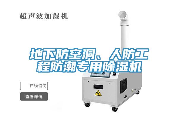 地下防空洞、人防工程防潮專(zhuān)用除濕機