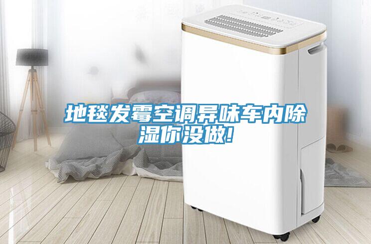 地毯發(fā)霉空調異味車(chē)內除濕你沒(méi)做!