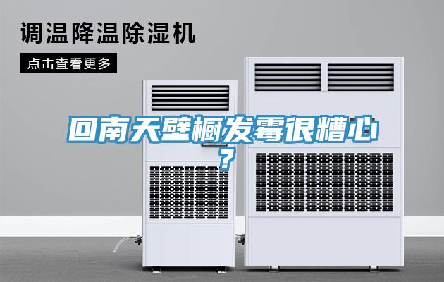 回南天壁櫥發(fā)霉很糟心？