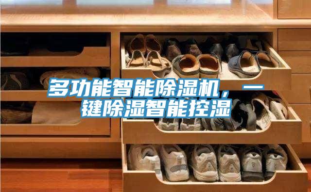 多功能智能除濕機，一鍵除濕智能控濕