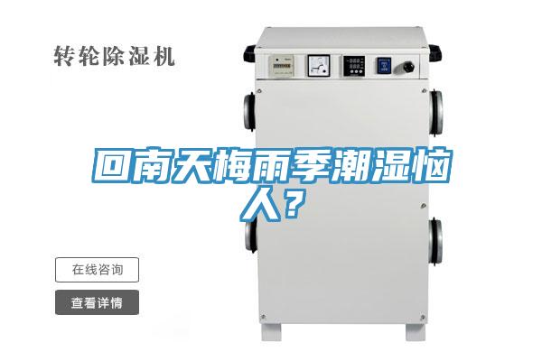 回南天梅雨季潮濕惱人？