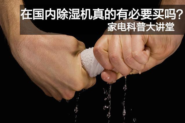 孵化和養雞場(chǎng)的理想溫度和濕度的最佳衡量標準